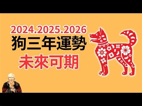 1982屬狗|1982年屬狗是什麼命，1982年出生人的命運